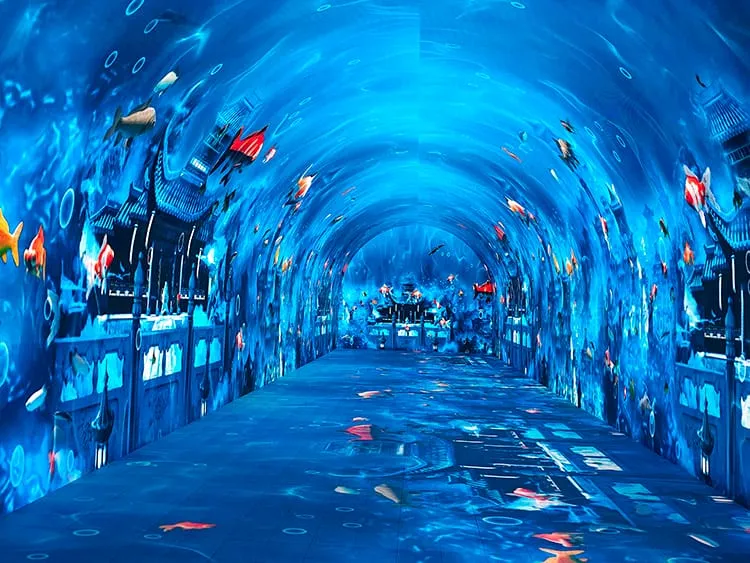 Immersive Tunnel LED Screen